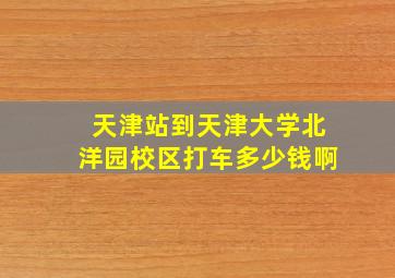 天津站到天津大学北洋园校区打车多少钱啊