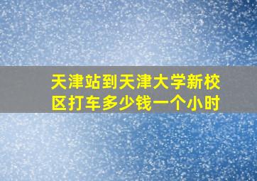 天津站到天津大学新校区打车多少钱一个小时