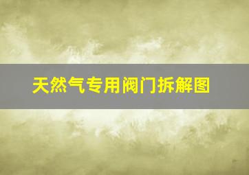 天然气专用阀门拆解图