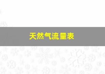 天然气流量表