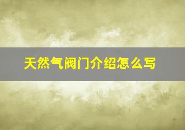 天然气阀门介绍怎么写