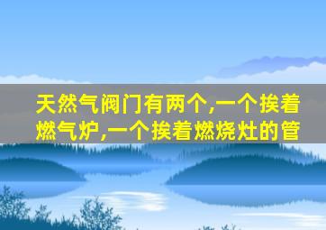 天然气阀门有两个,一个挨着燃气炉,一个挨着燃烧灶的管