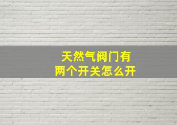 天然气阀门有两个开关怎么开