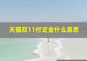 天猫双11付定金什么意思