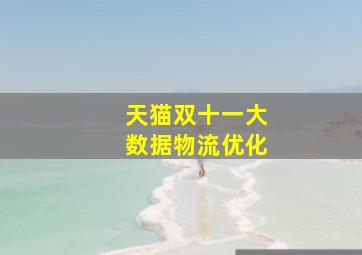 天猫双十一大数据物流优化