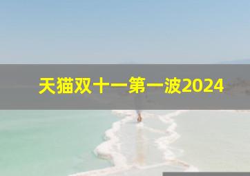 天猫双十一第一波2024