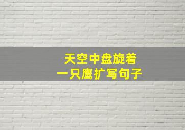 天空中盘旋着一只鹰扩写句子