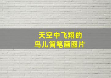 天空中飞翔的鸟儿简笔画图片