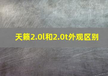 天籁2.0l和2.0t外观区别