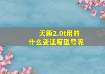 天籁2.0t用的什么变速箱型号呢