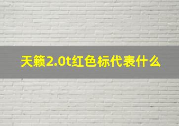 天籁2.0t红色标代表什么