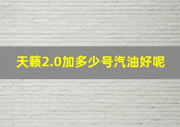 天籁2.0加多少号汽油好呢