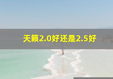 天籁2.0好还是2.5好