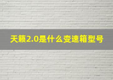 天籁2.0是什么变速箱型号