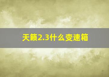 天籁2.3什么变速箱