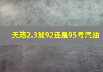 天籁2.3加92还是95号汽油