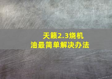 天籁2.3烧机油最简单解决办法