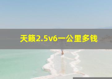 天籁2.5v6一公里多钱