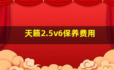 天籁2.5v6保养费用