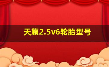 天籁2.5v6轮胎型号