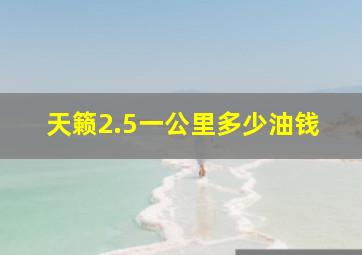 天籁2.5一公里多少油钱