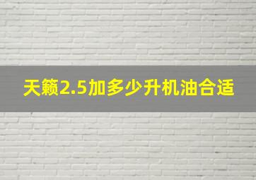 天籁2.5加多少升机油合适