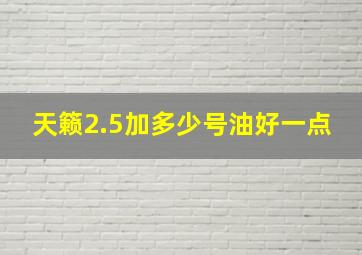 天籁2.5加多少号油好一点