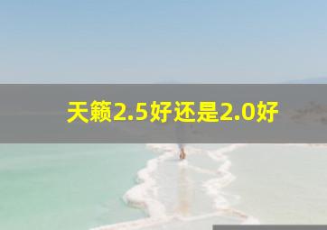 天籁2.5好还是2.0好