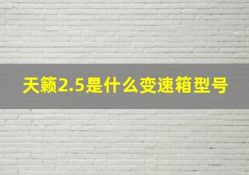 天籁2.5是什么变速箱型号