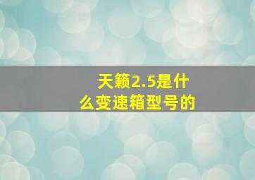 天籁2.5是什么变速箱型号的