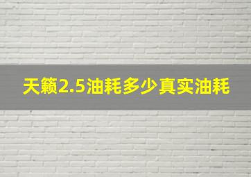 天籁2.5油耗多少真实油耗