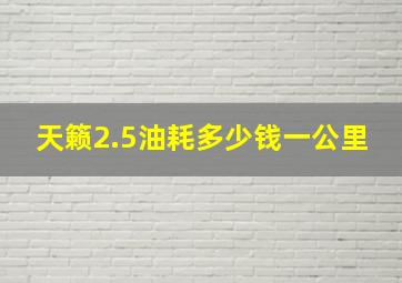 天籁2.5油耗多少钱一公里