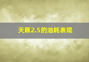 天籁2.5的油耗表现