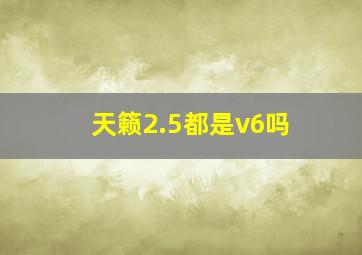 天籁2.5都是v6吗