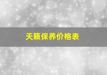 天籁保养价格表