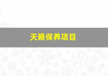 天籁保养项目