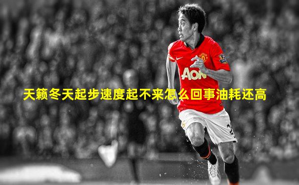 天籁冬天起步速度起不来怎么回事油耗还高