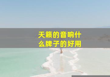 天籁的音响什么牌子的好用