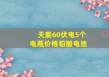 天能60伏电5个电瓶价格铅酸电池