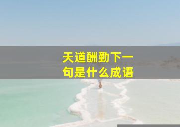 天道酬勤下一句是什么成语