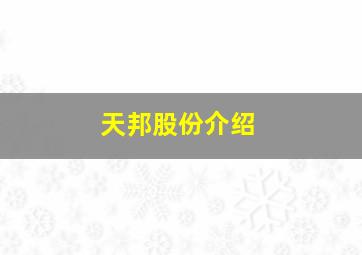 天邦股份介绍