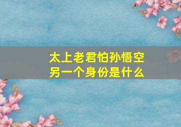 太上老君怕孙悟空另一个身份是什么