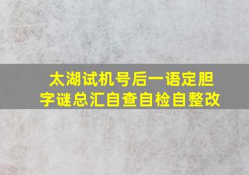 太湖试机号后一语定胆字谜总汇自查自检自整改