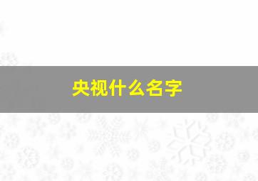 央视什么名字