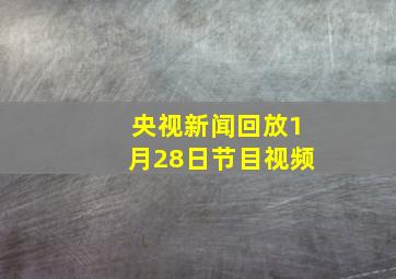 央视新闻回放1月28日节目视频