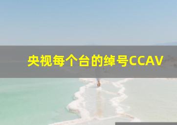 央视每个台的绰号CCAV