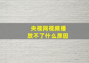 央视网视频播放不了什么原因