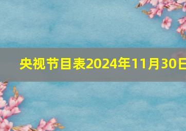 央视节目表2024年11月30日