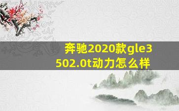 奔驰2020款gle3502.0t动力怎么样