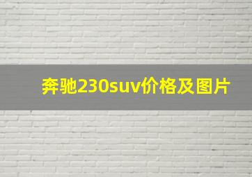 奔驰230suv价格及图片